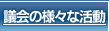 議会の様々な活動