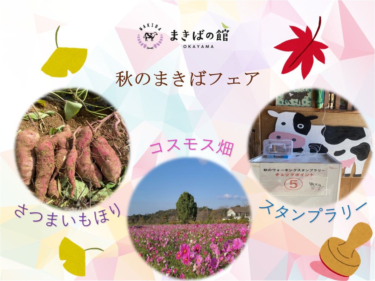秋もイベントがたっぷり！の画像