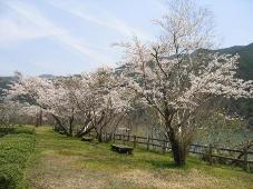 黒木ダム湖畔の広場