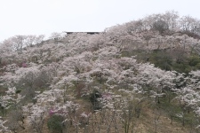 三休公園