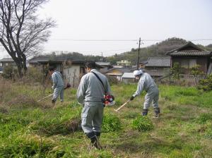 刈払いをしています