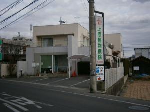 上原動物病院