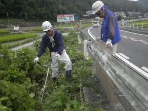 草刈り状況