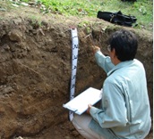 土壌断面調査