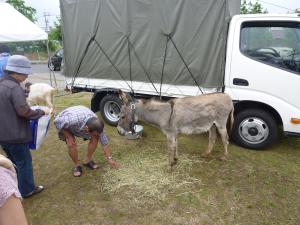 移動動物園