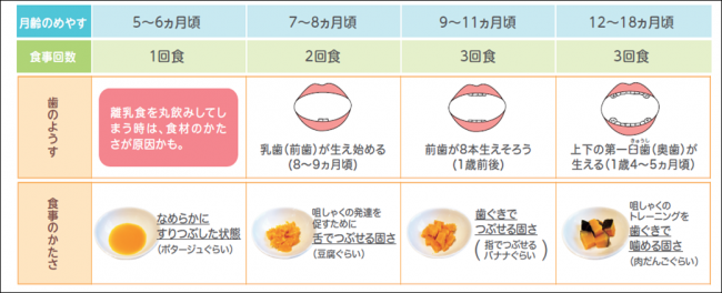 口の発達に合わせた食物のかたさ