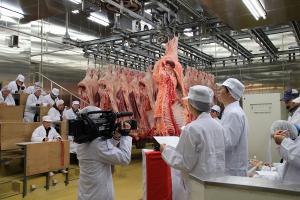 新春岡山県枝肉共励会