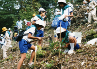 植樹j状況写真