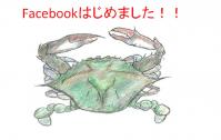 facebookはじめました