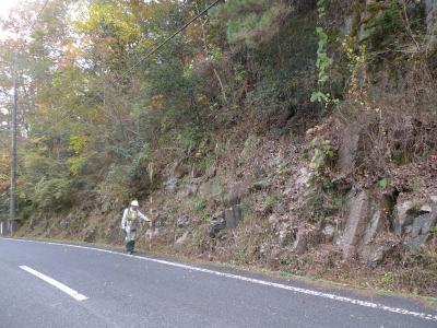 法面点検状況写真