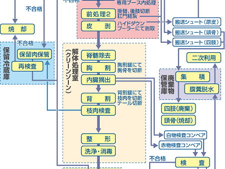 牛02