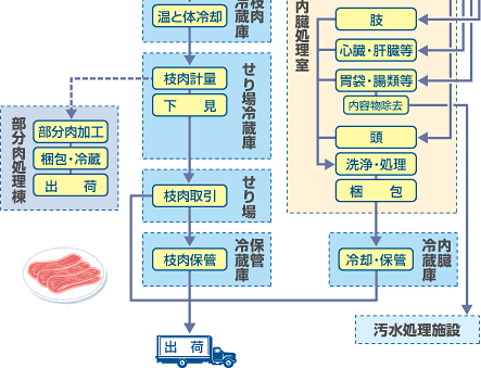 豚03