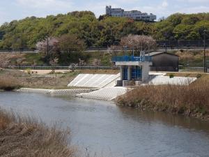 六間川　整備状況写真２