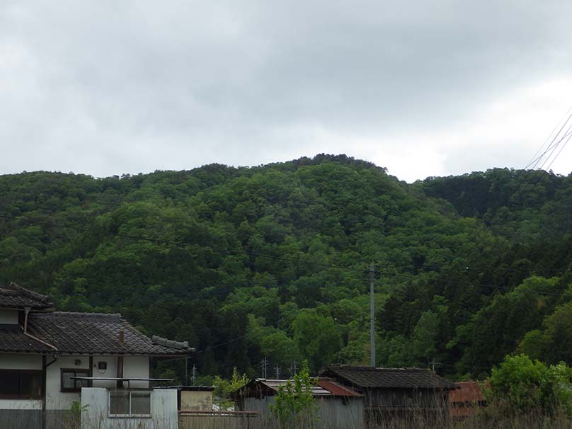 才田城跡（北東から）