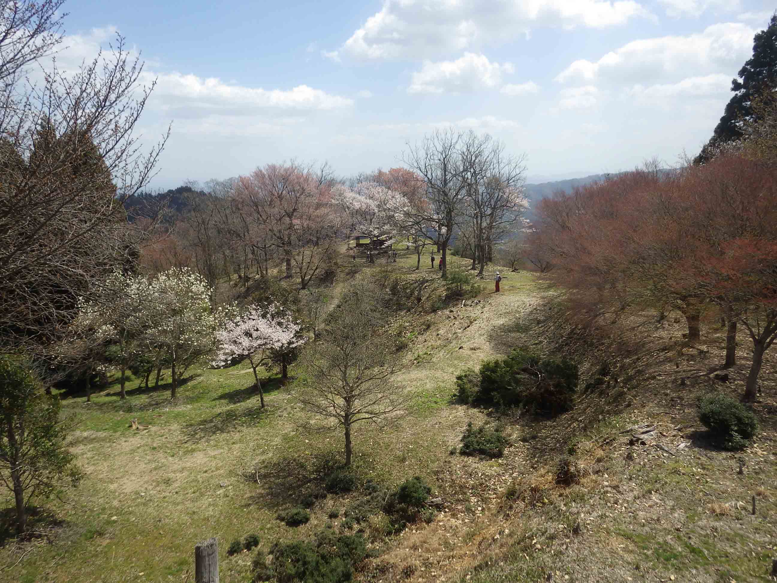 津山市岩屋城跡の主郭