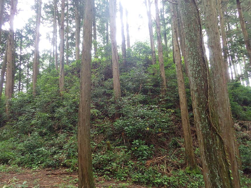 篠向城跡の切岸