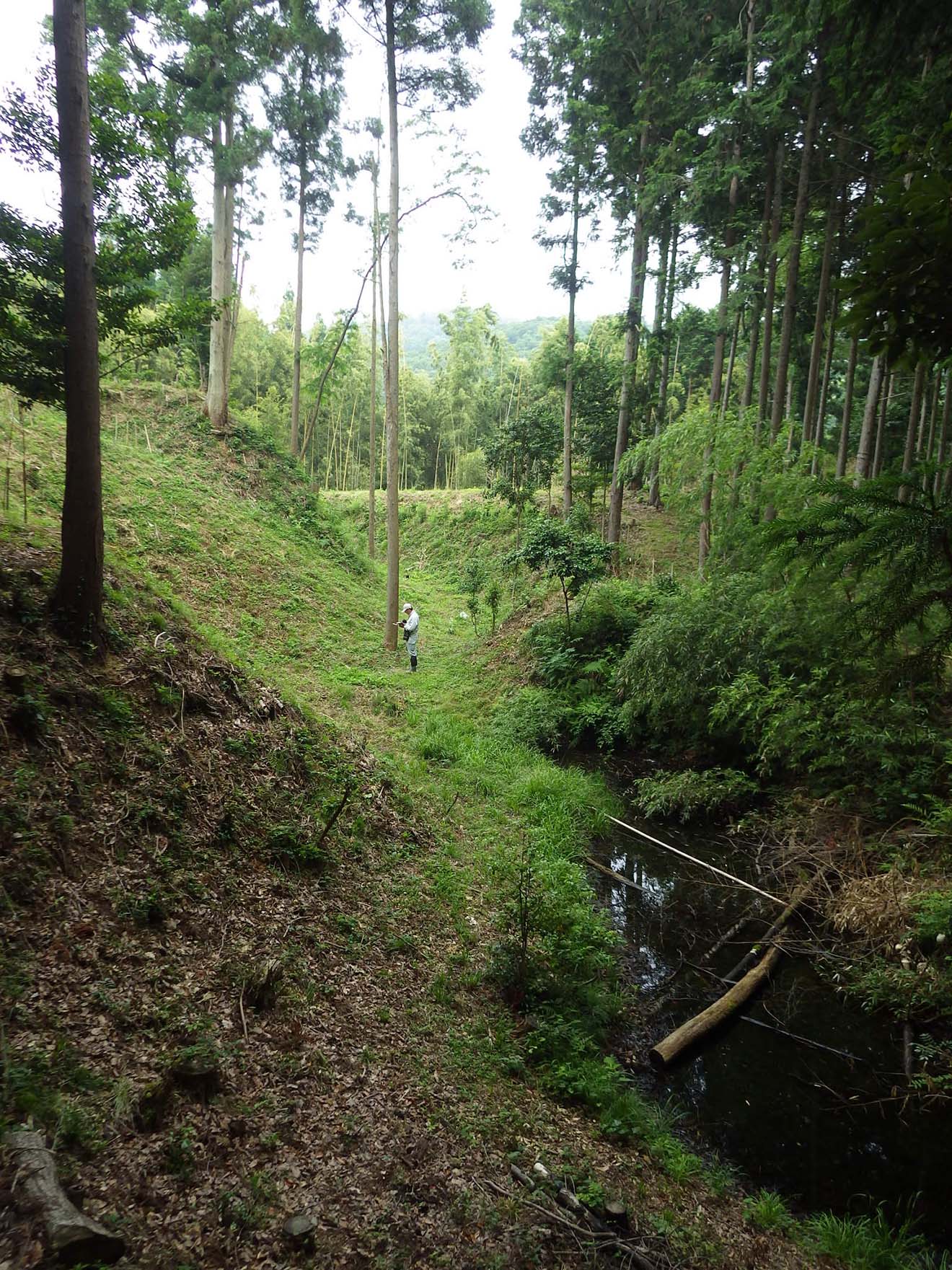 主郭の西側に掘削された大規模な横堀（北東から）