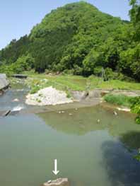 吉備中央町百坂城跡と豊岡川と亀の親子