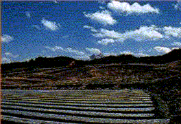 川上村中山西遺跡全景