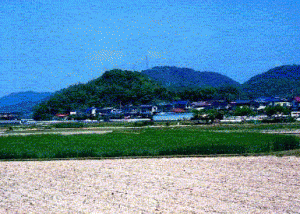 浦間茶臼山古墳（岡山市）