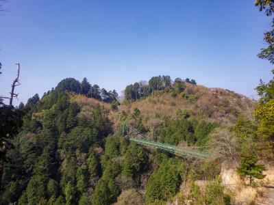 大松山城遠景