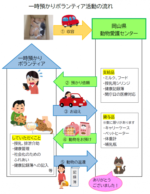 一時預かりボランティア活動の流れ