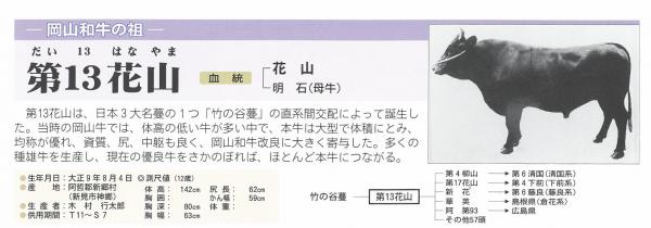 第１３花山