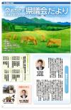 第16号