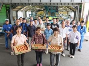 大玉トマトの生産者