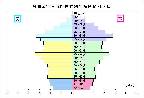 令和２年度岡山県男女別年齢階級