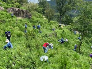 植栽活動