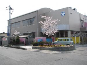 社会福祉法人白鳩福祉会　白鳩保育園