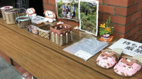 本人発信支援の一環で　当事者が作成した作品