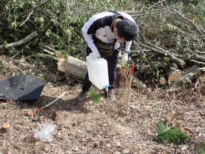 植栽木への水やり