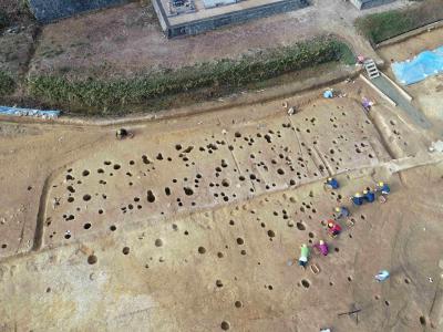 高尾宮ノ前遺跡で見つかった屋敷地の写真です。多くの柱のあとが並んでいます。