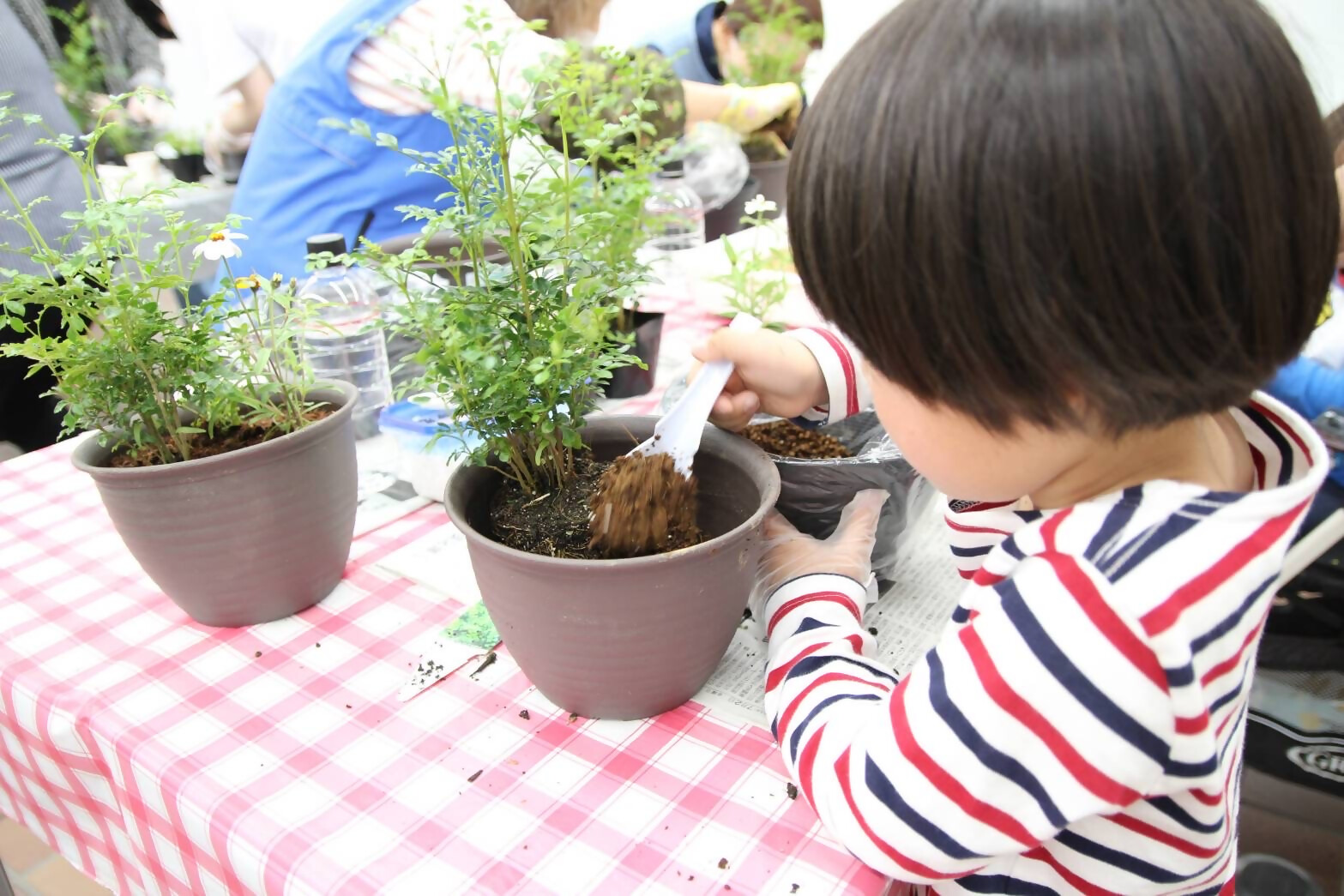 子供たち