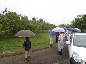 岡山甘栗の現地巡回指導の様子