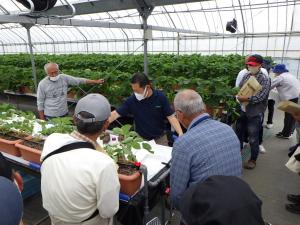 みのる産業で底面給水育苗を視察
