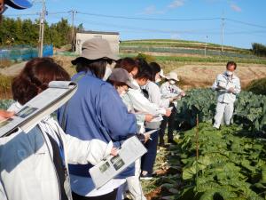 畑で白菜を見ながら熱心に説明を聞く様子