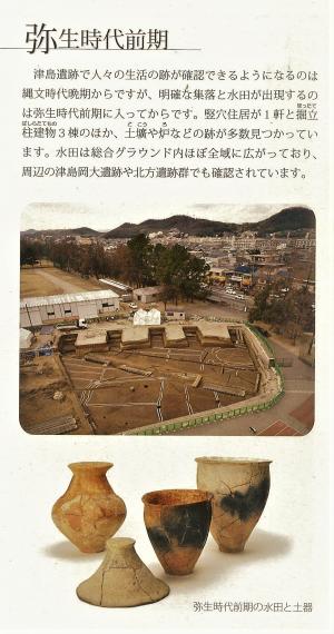 津島遺跡パンフレット４ページに掲載の画像