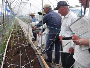 活発に意見交換をする生産者