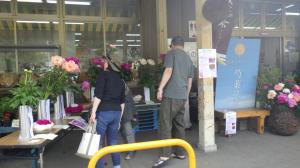 【しゃくやくの品種展示】