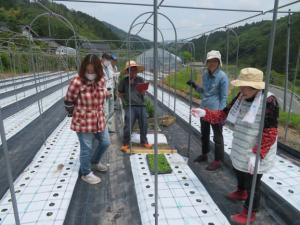部会長から定植を学ぶ受講生