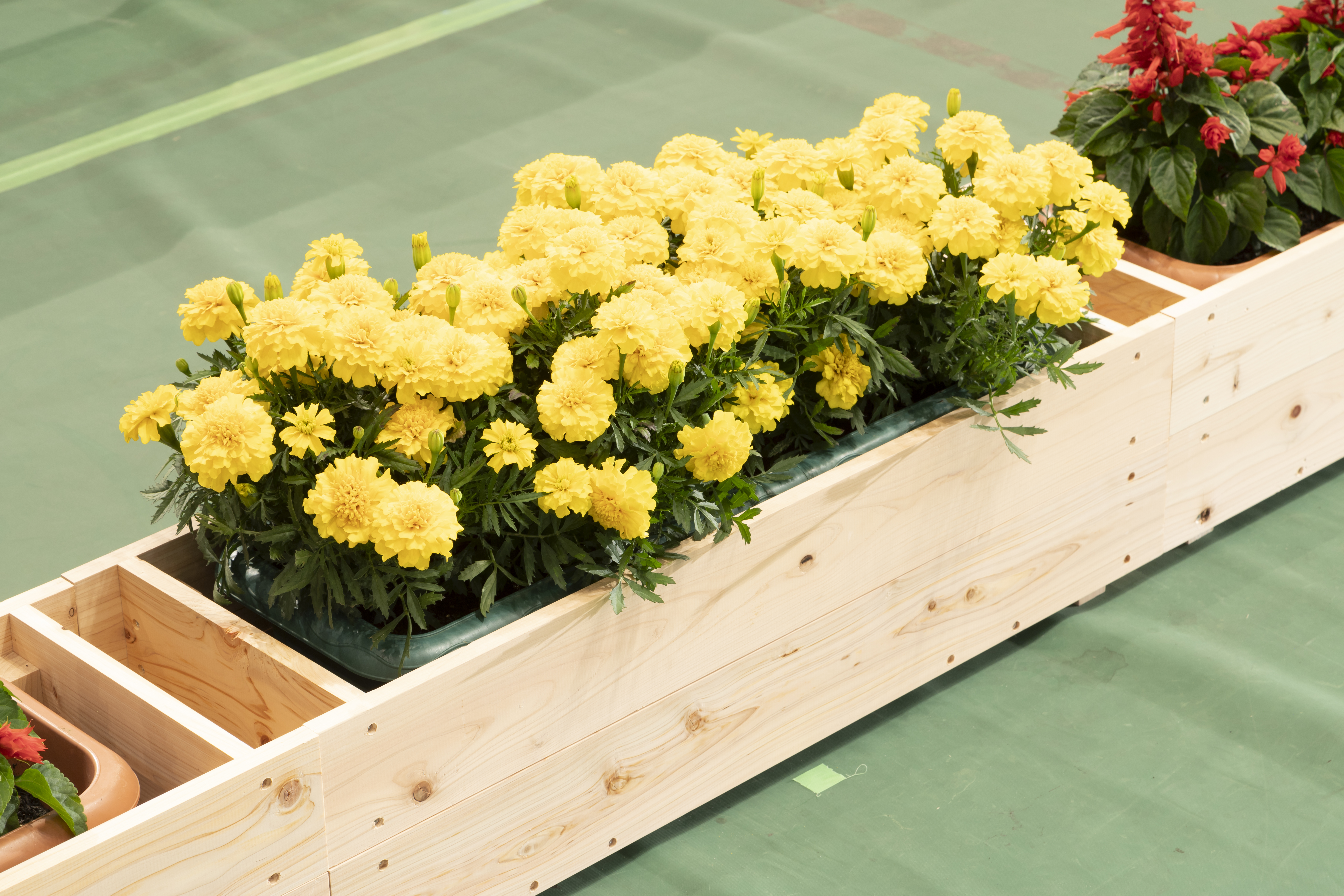 飾花