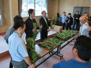 卸売市場担当者による咲き具合の説明