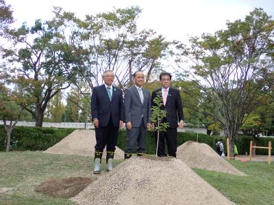 定植