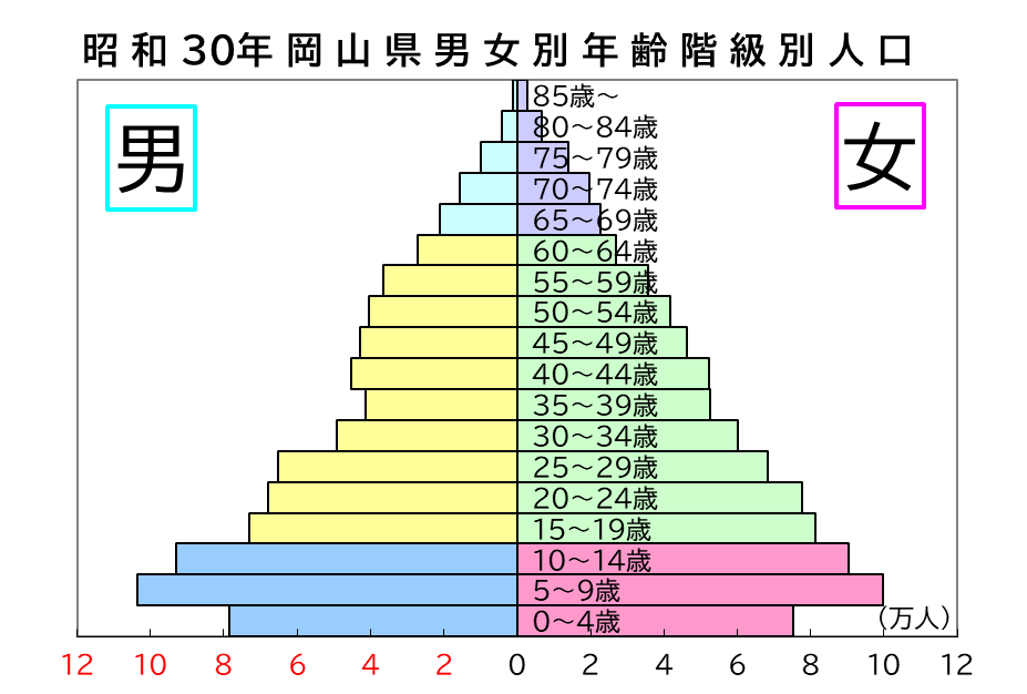 「昭和３０年の岡山県男女別年齢階級別人口ピラミッド」のグラフ