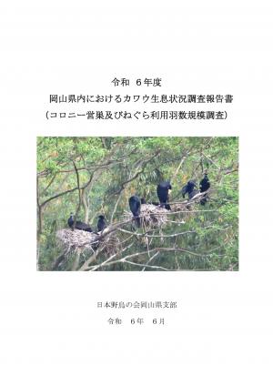 R6夏季調査表紙