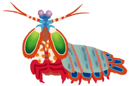 「シャコ」のアイコン