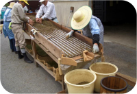 (4)混入物の除去